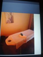 632271731: Chica busca chico en Guipúzcoa