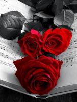 651024346: Chica busca chico en Valladolid