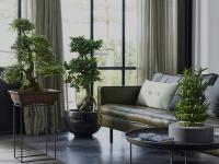 688394537:  en Madrid