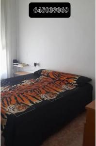 604906845:  en Valencia