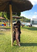 632398511: Chica busca chico en Pontevedra