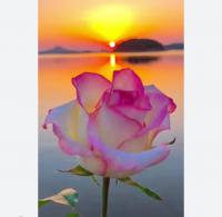 634194872:  en Las Palmas