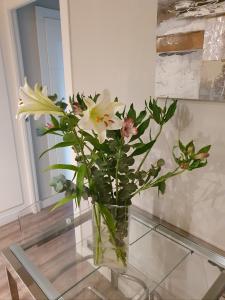 686224211:  en Barcelona