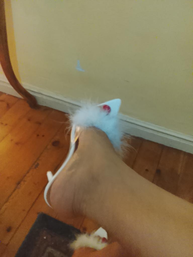 Chica busca chico en Cantabria: 