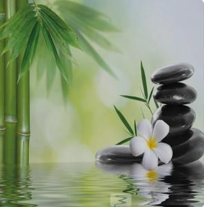 603300361:  en Madrid