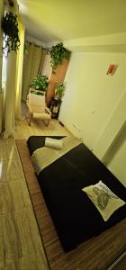 Chica busca chico en Mallorca: 