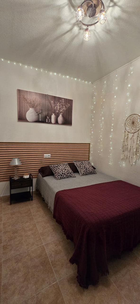 608221113:  en Alicante