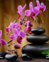 688394537:  en Madrid