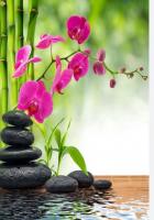 640198153: Chica busca chico en Valencia