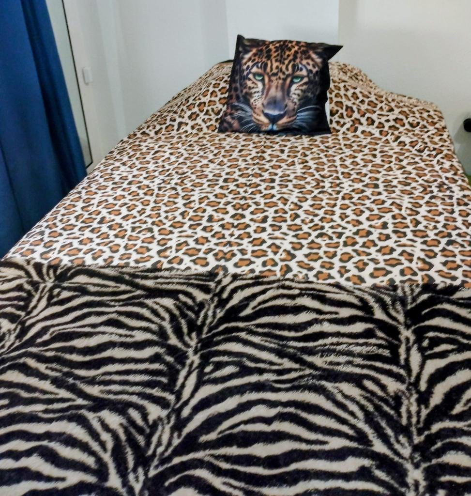 655812711:  en Ciudad Real