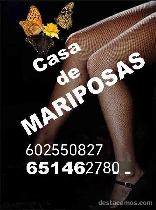 Virtual en Valladolid: 