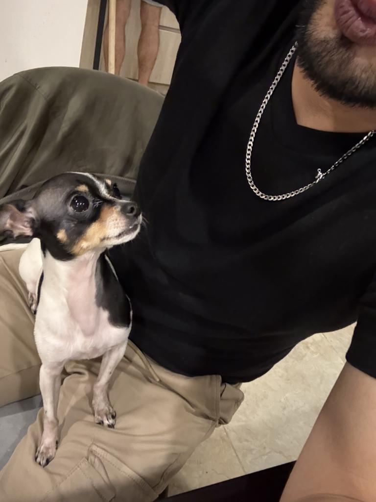 670342985: Chico busca chica en Valencia