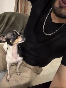 670342985: Chico busca chica en Valencia