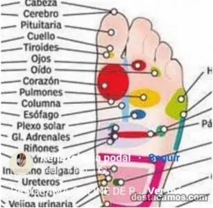 656661982: Chica busca chico en Córdoba