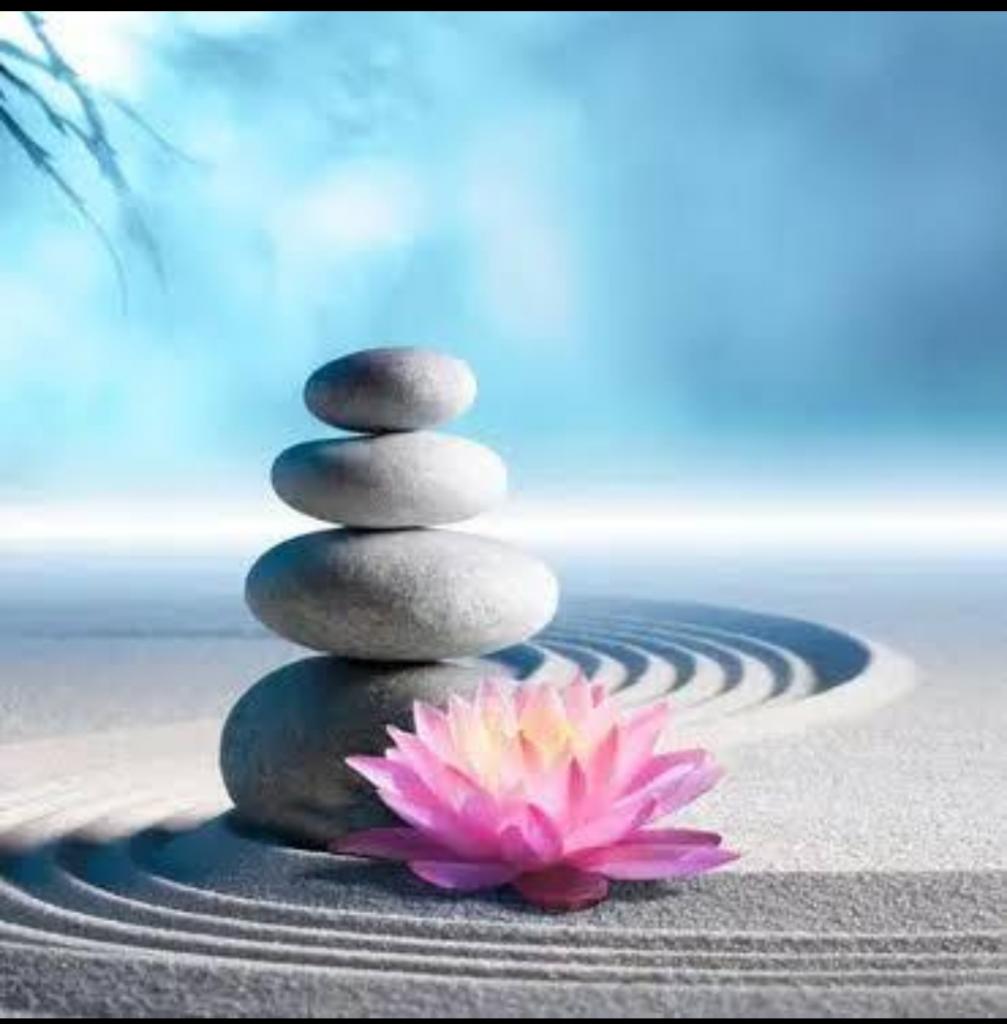 Chico busca chica en Tenerife: 