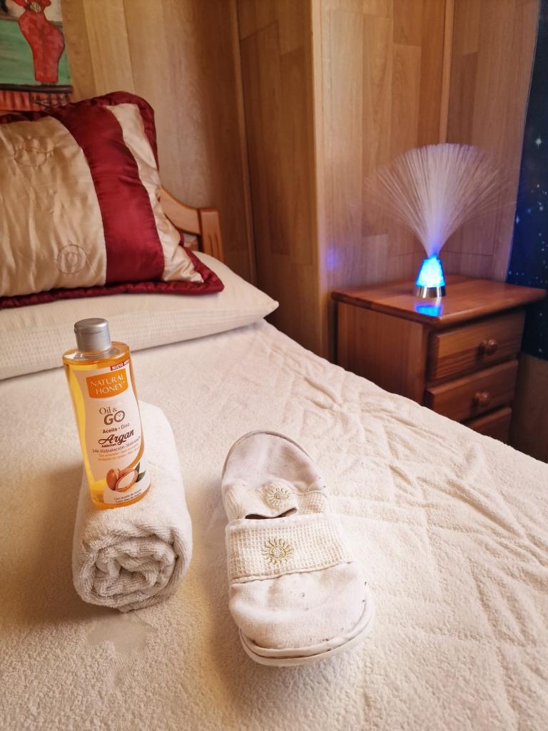 Chica busca chico en Castellón: 